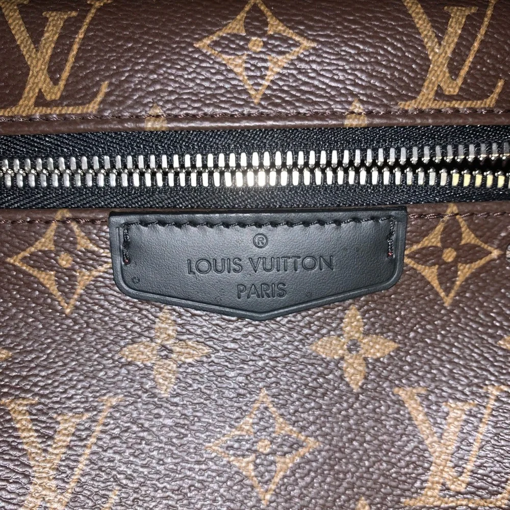 LV Backpack - Picture 4 of 6